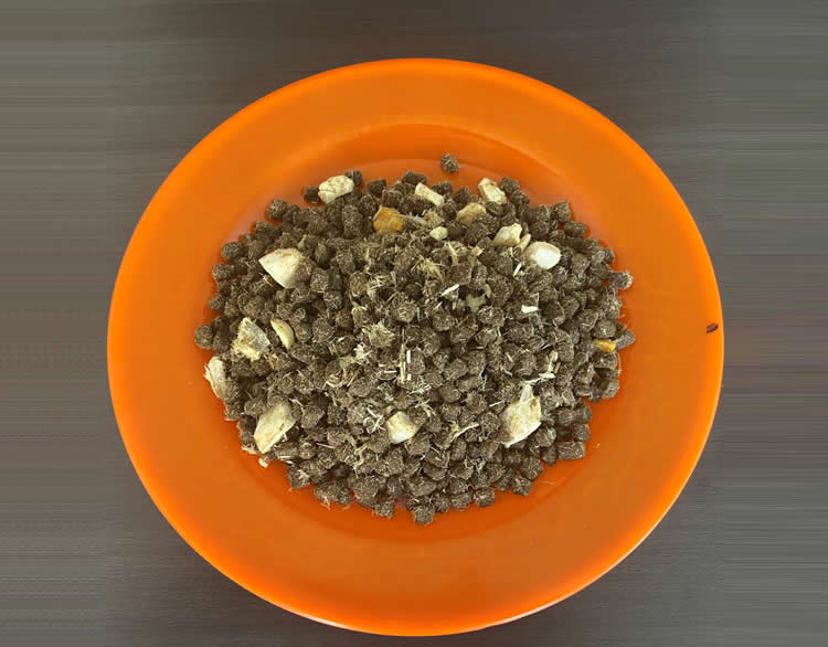 狗粮